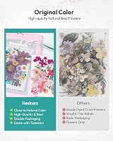 Resiners 100 Pcs Dried Flowers for Resin Crafts Preserved Real Flowers Kit view 9