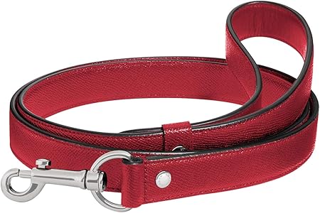 coach dog collar large