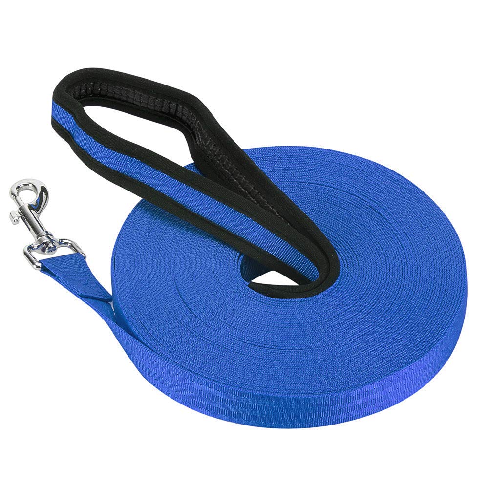 Vivifying Dog Training Lead - 20m/65ft Nylon Training Leash for Pet Tracking & Obedience (Blue)