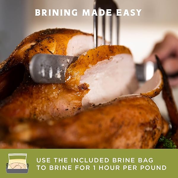 FIRE & FLAVOR APPLE SAGE PERFECT BRINE – TURKEY BRINE KIT WITH BAG FOR ROASTING, GRILLING, SMOKING, AND FRYING – BRINING SEASONINGS FOR COOKING AND TURKEY BRINE BAG – TURKEY BRINE AND RUB KIT, 1 COUNT (PACK OF 1)