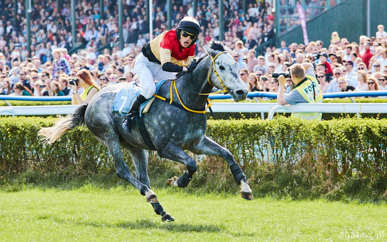 Horse Racing Background - Thumbnail 7