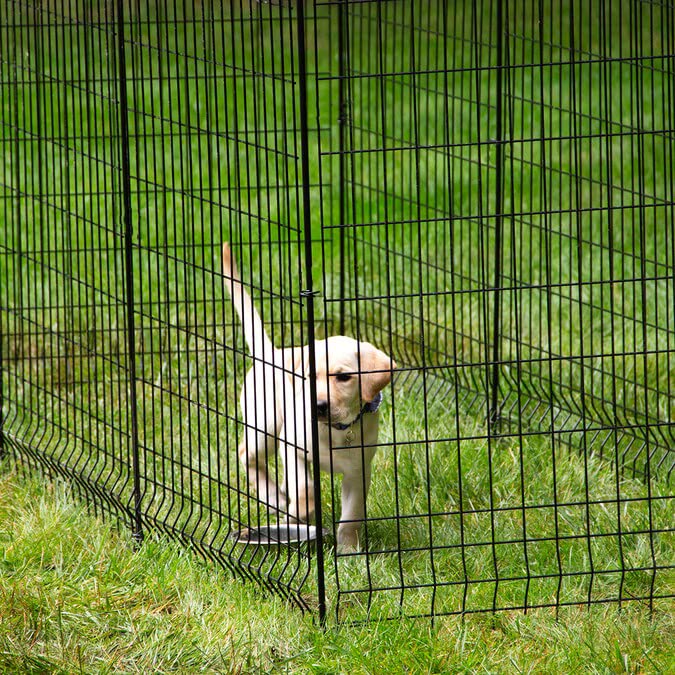 Hopesun Decorative Garden Fence Fast Installation MultiPurpose Metal