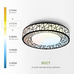 ASD 12 Inch LED Flush Mount Ceiling Light Fixture