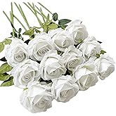 UKELER Artificial White Rose Flowers 12 Pcs Blossom Rose Flowers Real Touch Silk Faux Roses with Stem Rose Bouquets for Home Decoration Wedding Party Garden Floral Roses Decor