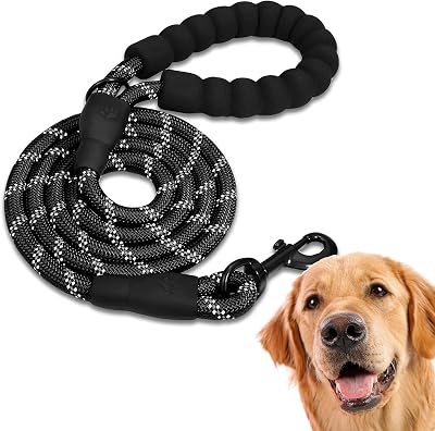 , Hundeleine, strapazierfähiges Schlupfseil mit weich gepolstertem Griff, stark reflektierende Fäden, für kleine, mittelgroße und große Hunde, 47, 60 und 221.0 cm (47 Zoll, Schwarz)