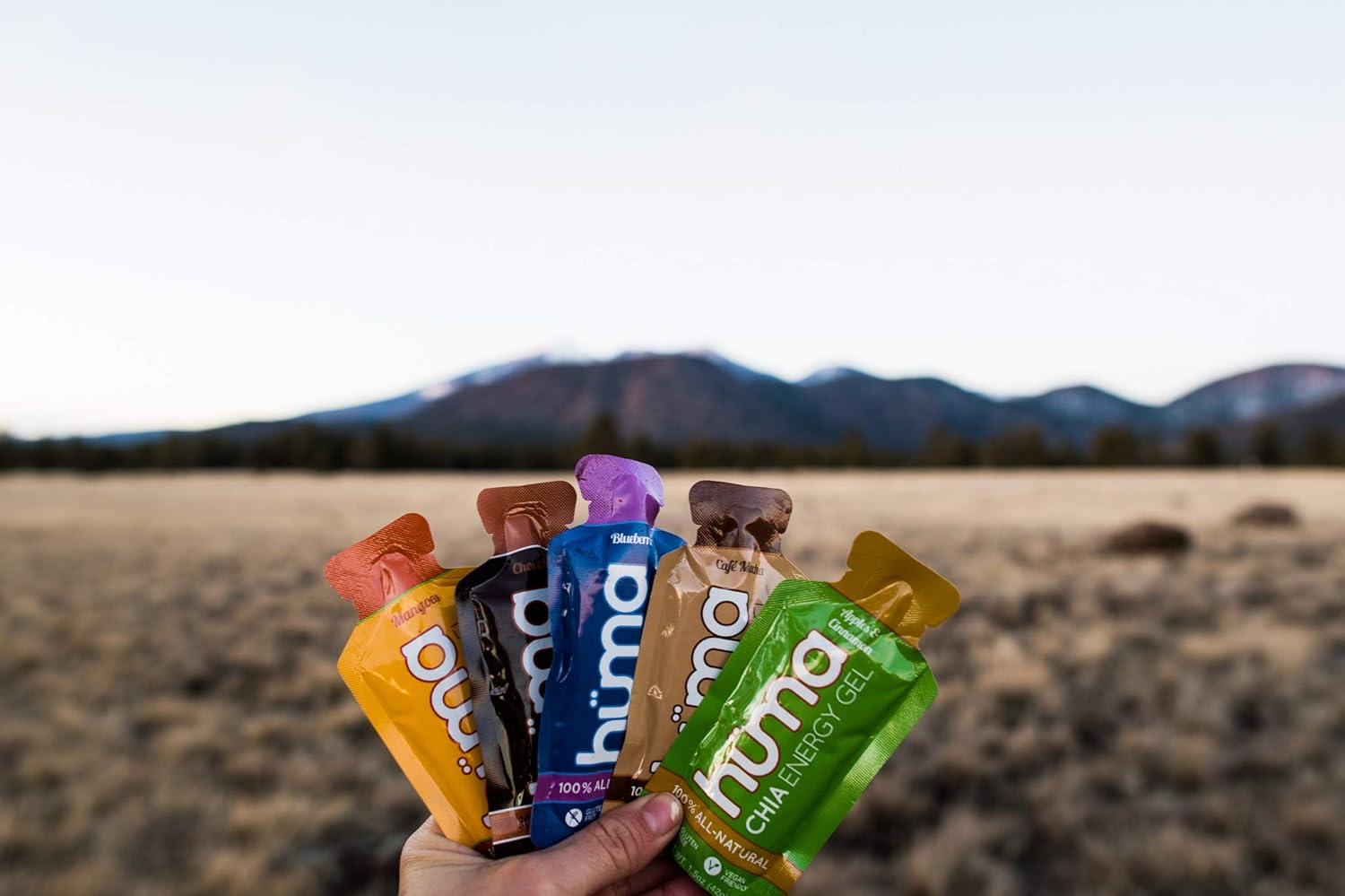 Huma Chia Energy Gel, Variety Pack, 12 Gels - Premier Sports Nutrition for Endurance Exercise - 8 Flavors: Health & Personal Care