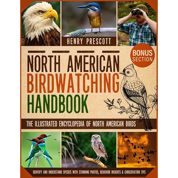 Audubon Society Encyclopedia of North American Birds: Terres, John