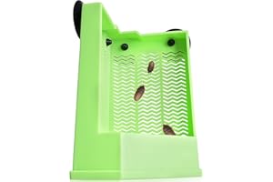 Eckpo Reptile Corner Hunting Bowl - Glass Mount Insect Feeding Box for Reptile with Suction Cup which is Super Tight, Green, 
