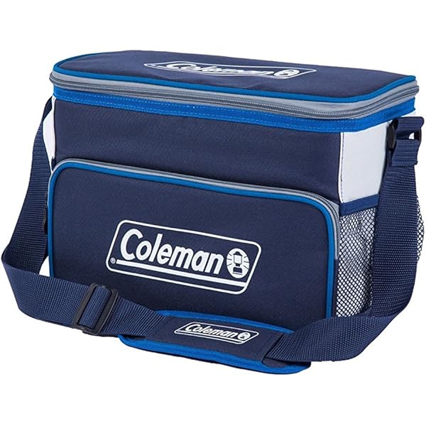 esky 16 can hybrid cooler with ice brick