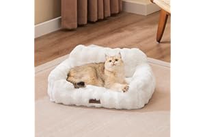 ZOMISIA Orthopedic Cat Couch Bed for Indoor Cats, Cute Pet Sofa with Supportive Egg Foam, Fluffy Faux Fur Removable Washable Cover and Non-Slip Bottom, Ivory White