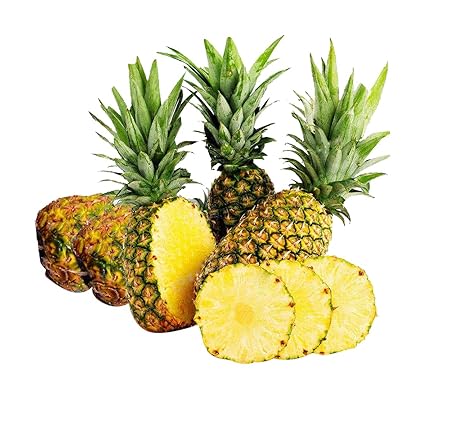 Nema Pineapple Fruit seeds -100pcs
