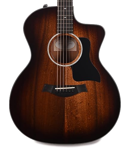 Amazon.com: Taylor Taylor 224ce-K DLX Grand Auditorium Acoustic