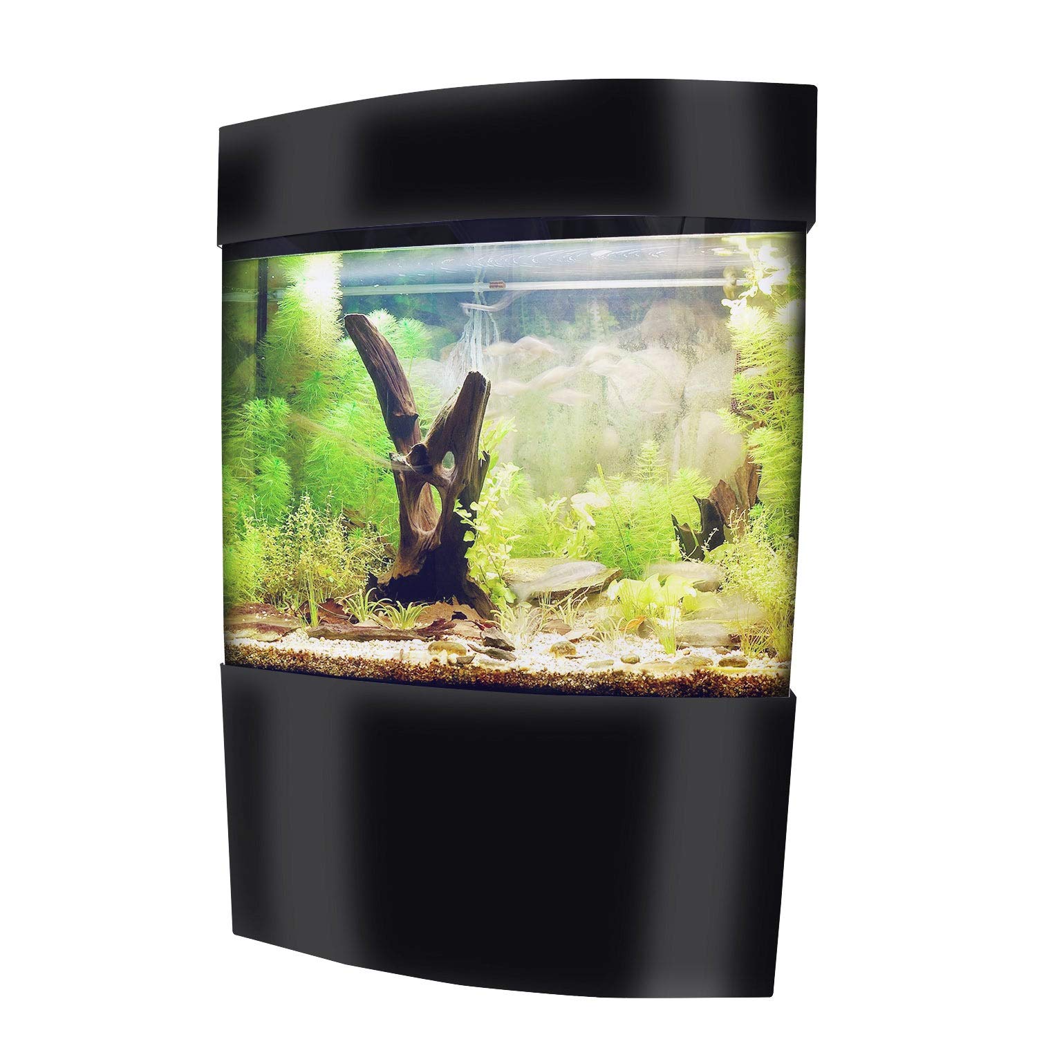 Best Bow Front Aquariums in 2022 A Little Bit Fishy