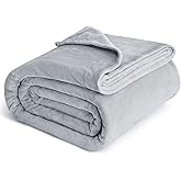 Bedsure GentleSoft Fleece Blankets Queen Size Light Grey - Bed Blanket Soft Lightweight Plush Fuzzy Cozy Luxury Microfiber, 90x90 inches