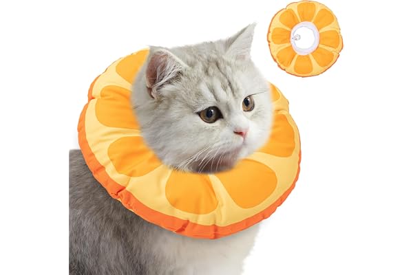 Hcbuu Cat Recovery Collars, Cute Waterproof Cone for Kittens After Surgery | Soft and Adjustable Collar Cone for Protective C