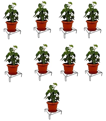 Xllent Flower Pot Stand, Pot Stand, Plant Stand Heavy Duty Metal for Plants in Balcony, Home Decor, Indoor and Outdoor Use (Square) Black Pack of 9