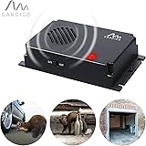 Appareil anti fouine Appareil anti fouine