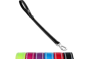 ZALER Short Dog Leash 2 ft, 24 Inches Traffic Leashes for Dogs, Nylon Reflective Dog Lead with Padded Handle, Heavy Duty Pet Leash with Carabiner Clip for Large and Medium Dogs (24" Black)