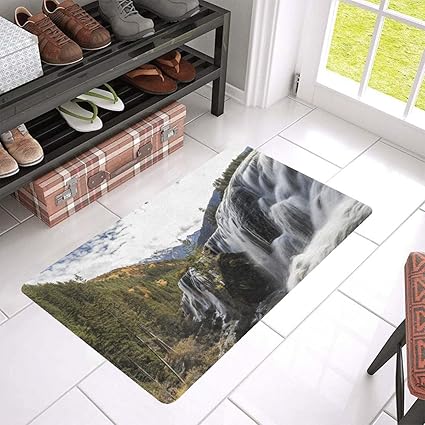 Felpudo de entrada interior al aire libre, alfombrilla de goma
