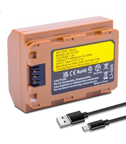 Amazon.com: BM Premium NP-FZ100 Battery for Sony Alpha a7 V, ZV-E1