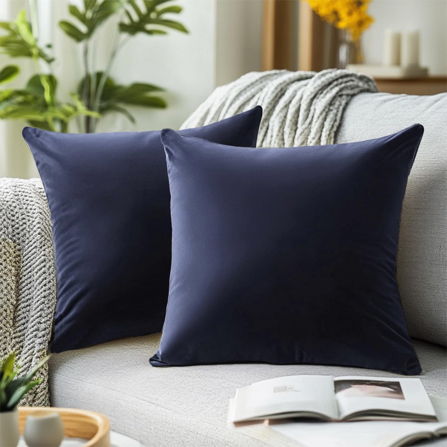 QUORGVES 22x22 Pillow Cover Set of 2 Velvet Decorative Throw Pillows ...