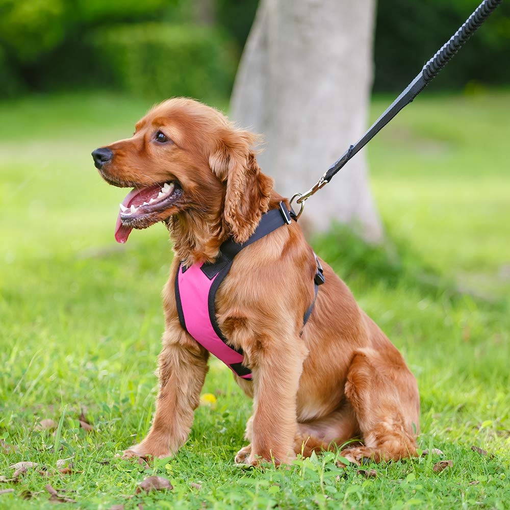 Hitelec Harnais De Sécurité Pour Chiens Réglable Voiture