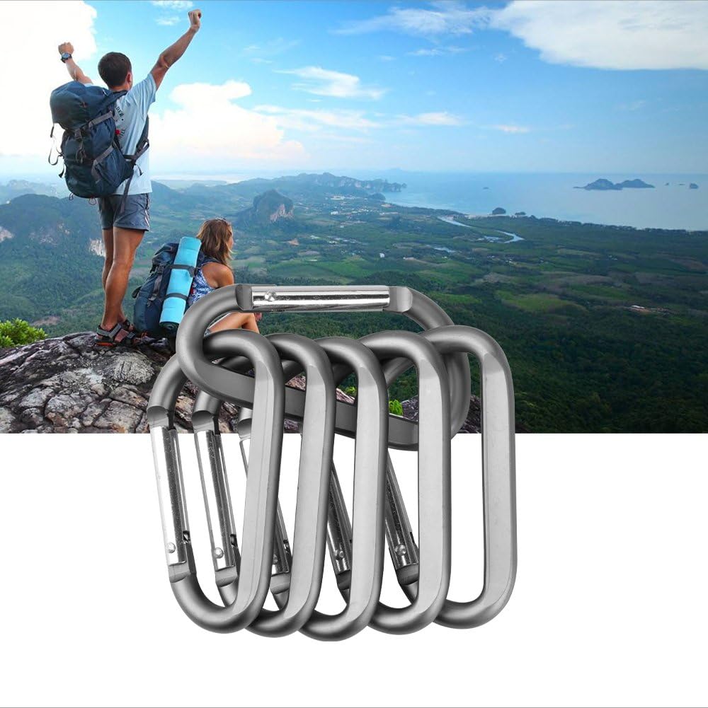 CampTek 3" Aluminum Carabineer Keychain Clip with Keyring, Light Durable D Shape Nonlocking Carabineer Hook Buckle for Outdoor Camping EDC Key Chain Ring, Grey, 6 Piece: Sports & Outdoors