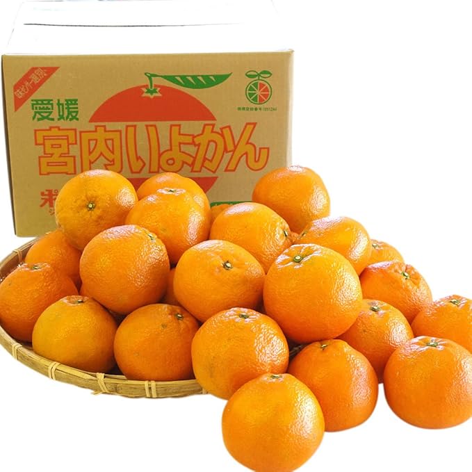 Amazon 産直だより 愛媛jaえひめ中央 宮内いよかん 9 10キロ 2l 3l 産直だより みかん 柑橘類 通販 Amazon 産直だより 愛媛jaえひめ中央 宮内いよかん 9 10キロ 2l 3l 産直だより みかん 柑橘類 通販