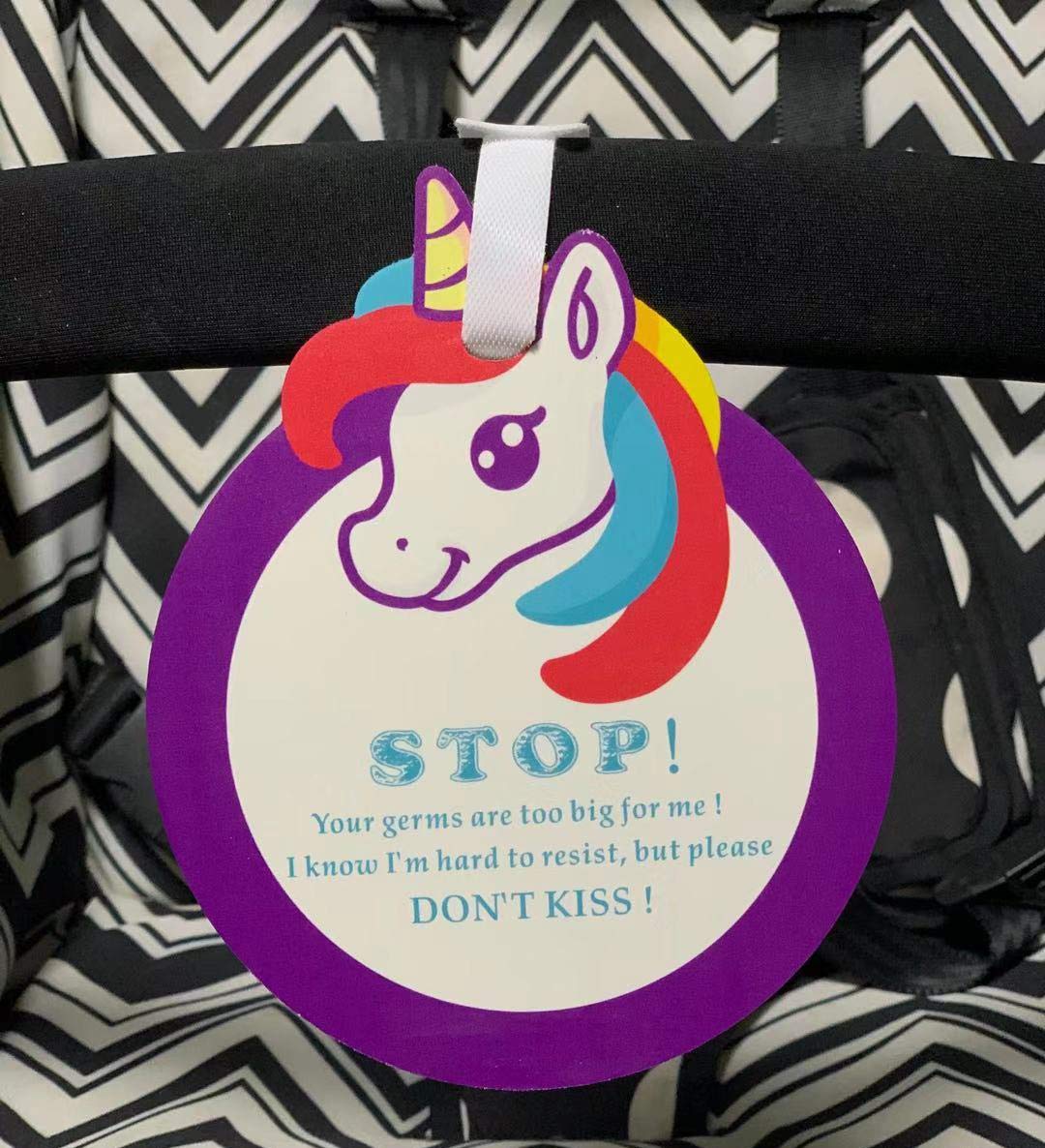 unicorn stroller and carseat