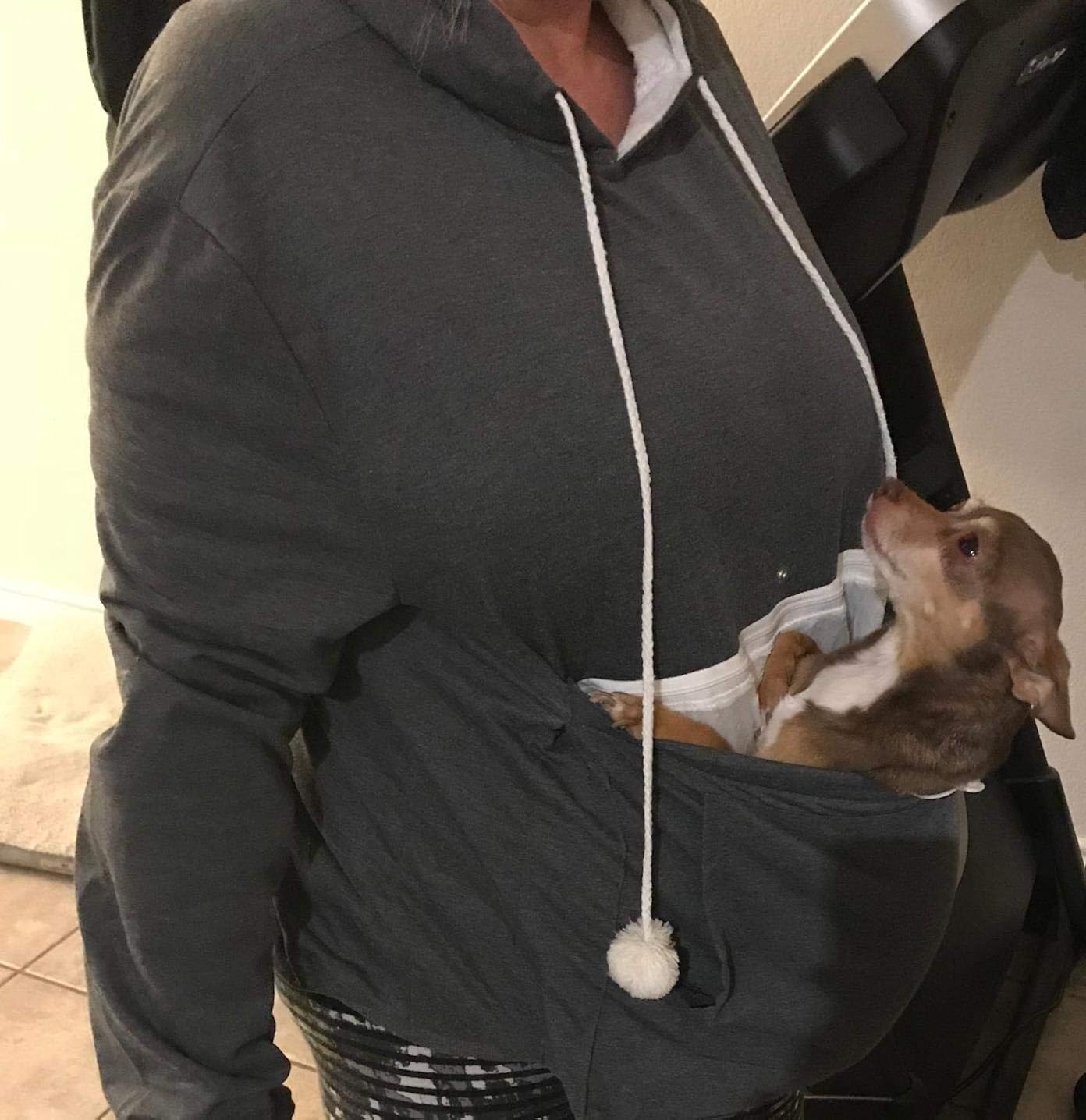 dog carrier sweatshirt
