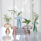 Glasseam Mushroom Propagation Stations for Plants: Colored Hand-Blown Cute Glass Planters for Indoor Plants - 5Pcs Small Hydroponic Terrarium Jars for Home Decor - Gifts for Women Mom Friends