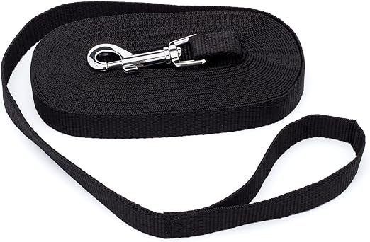 30 ft leash