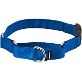 PetSafe Martingale Quick-Snap Dog Collar, Royal Blue, 3/4 in, Medium | Tightens When Dog Pulls, Loosens When Calm for a Secure, Escape-Resistant Fit, Durable Nylon, Quick-Snap Buckle