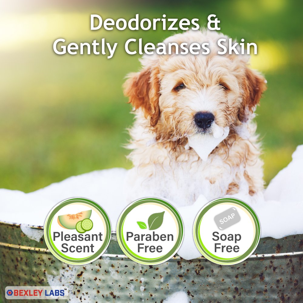 Curaseb Antifungal Antibacterial Chlorhexidine Shampoo for Dogs Cats w