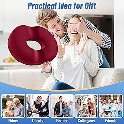 CloudBliss Donut Pillow Seat Cushion Chair Pad for