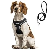 Fida Comfy Dog Harness with Leash, Soft Puppy Vest