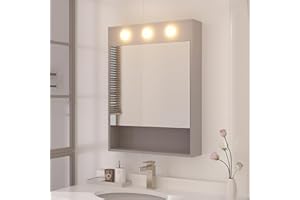 HAUSCHEN HOME 28x20 inch LED Lighted Medicine Cabinet with Mirror, Moisture-Resistant Wood, Stepless Dimmable, 3000K/5500K, Adjustable Shelf, Flat-Pack Design – Assembly Required (Grey)