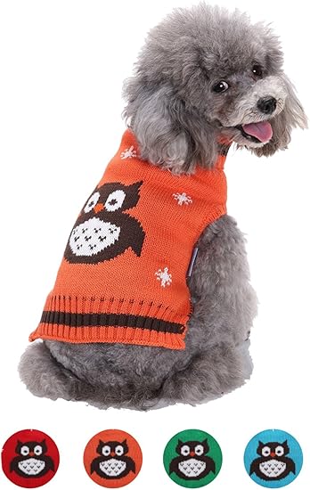 Fishbabe Cute Puppy Chihuahua Teckel Chiens De Petite Taille