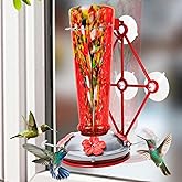 Window Hummingbird Feeder with 5 Strong Suction Cup 16 Ounces Colorful Hand-Blown Glass Hummingbird Feeder for Outdoor Patio Hanging Windows Mount (Red)
