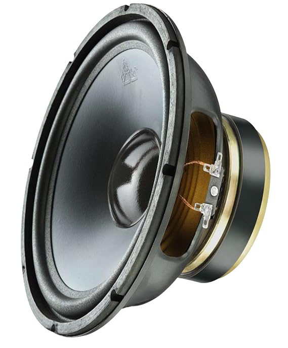 sweton speaker 10 inch