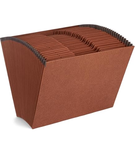 Amazon.com : Blue Summit Heavy Duty A-Z Accordion File Organizer