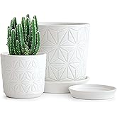 D'vine Dev Ceramic Flower Plants Pots Planter, 3.8 Inch 5.8 Inch Stoneware Planter Pot with Drainage Hole and Saucer, Set of 2, White, 99-E-1