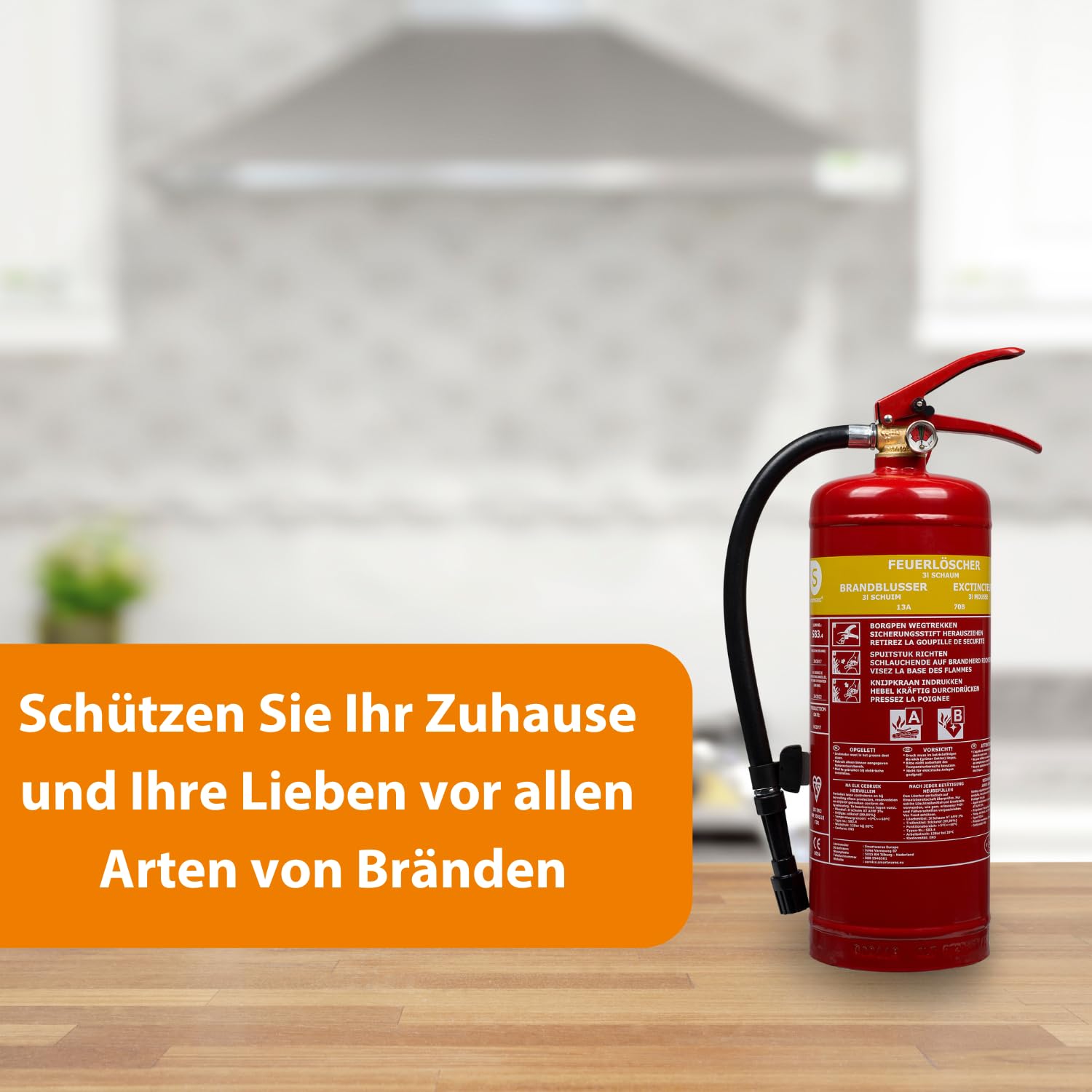 Smartwares FEX-15230 (SB3.4) Schaum Feuerlöscher 3L Klasse AB Stahl mit Halterung und Druckregler, DIN EN3 konform 2