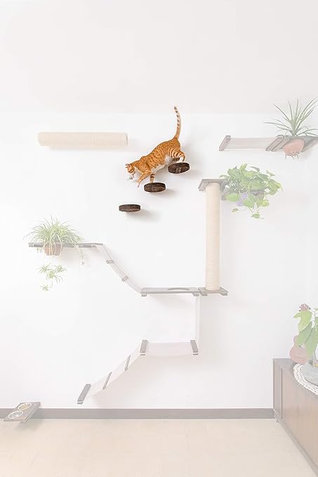 Cat Walk Space For Cats étagère Murale Ronde En Bois 20 Cm