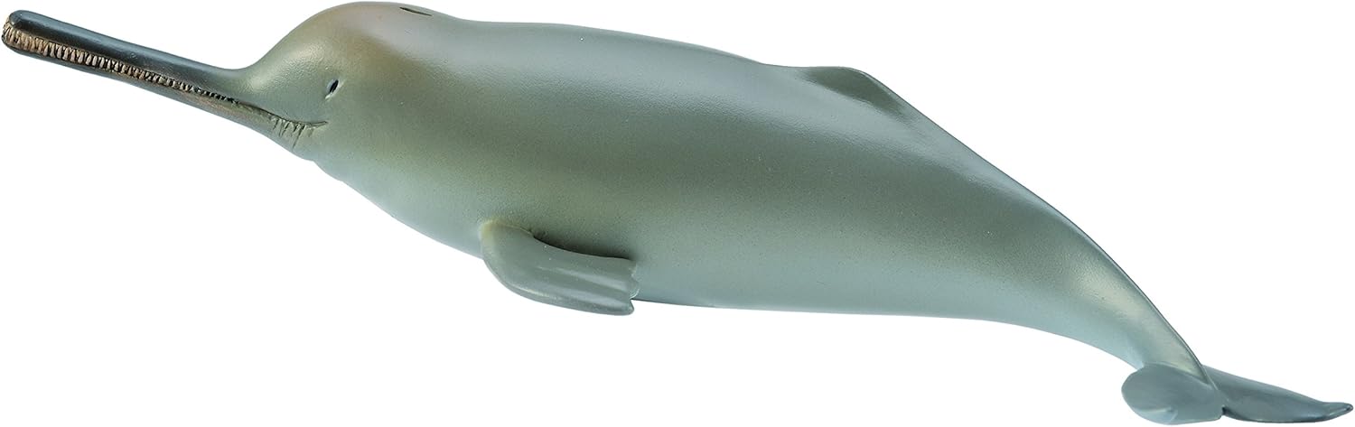 dolphin toys amazon