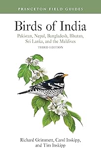 kindle best category lists