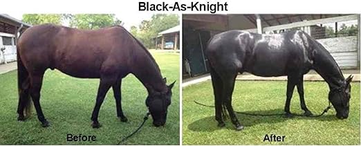 Amazon Com Black As Knight Dark Horse Supplement To Enhance Coats Manes Tails Hooves On Blacks Bays Other Dark Horses 7 Lbs Sports Outdoors