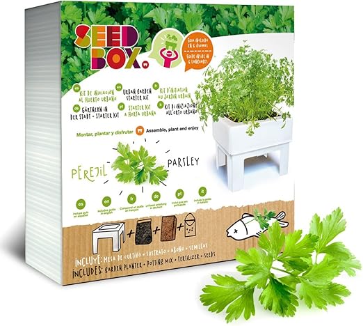 SeedBox SBKSS SBCUPE-Perejil: Amazon.es: Jardín