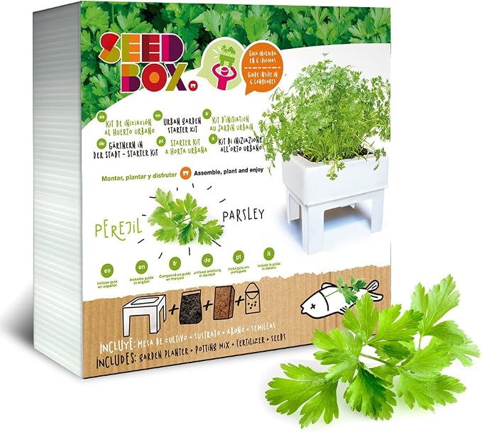 SeedBox SBKSS SBCUPE-Perejil: Amazon.es: Jardín