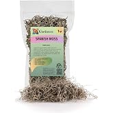 Gardenera Premium Natural Spanish Moss Natural Preserved - Great Ground Cover - Filler for Potted Plants - 1 Quart Bag, GRD-SPANISH-MOSS-1QT